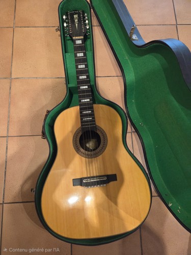 Guitare hofner cordes avec - cordes,