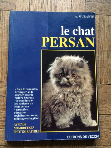 Chat persan amélie - persan,