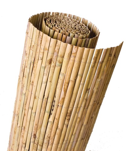 Bambou dian palissade - dian,