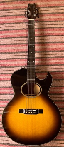 1985 washburn woodstock ea20 - 1985,