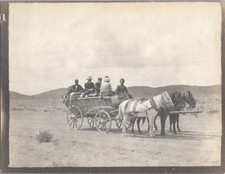 Persia, Iran, horse transport in the desert, vintage print, ca.1890 print