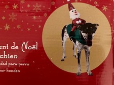 Déguisement noël chien