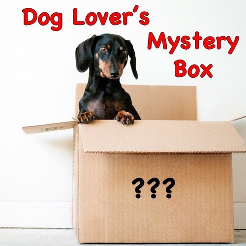 Mystery box chien - box, boîte