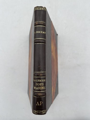 Chasse sous marine précis - sous-marine.,