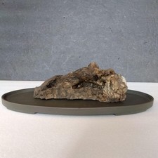 Ensemble bassin d'eau en