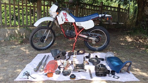 Honda mtx50 1984 50cc moto - mtx50,