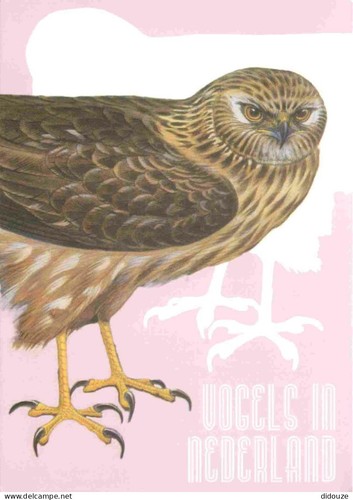Carte postale animaux - postale,