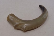 Pommeau ancien ombrelle canne parapluie en corne bovine - ART NOUVEAU 1900-20's