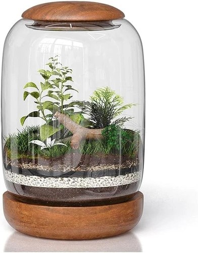 Exclusive glass terrarium with - glass,