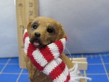 Golden Retriever Dog With Scarf 