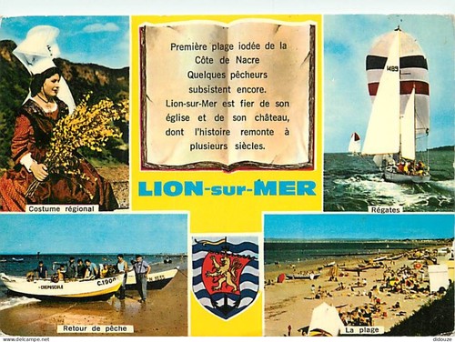Postcard lion on the - -,