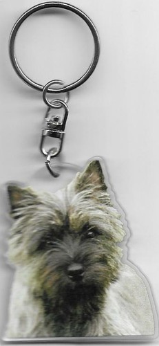 Cairn terrier porte clés - terrier,