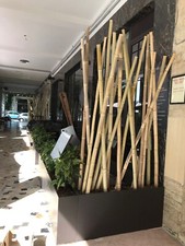 Giant Bamboo Rods - 100 - 150 - 200 - 300 cm - Bamboo