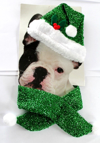 Deguisement pour petit chien - pour,