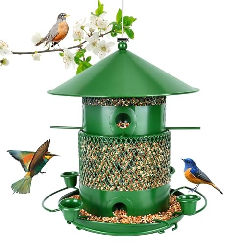 Mangeoire oiseaux exterieur - mangeoire,