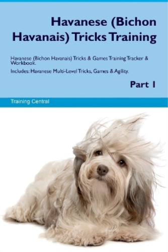 Training centra havanese - centra,
