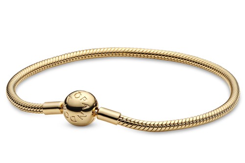 Pandora bracelet pour charms - pandora,