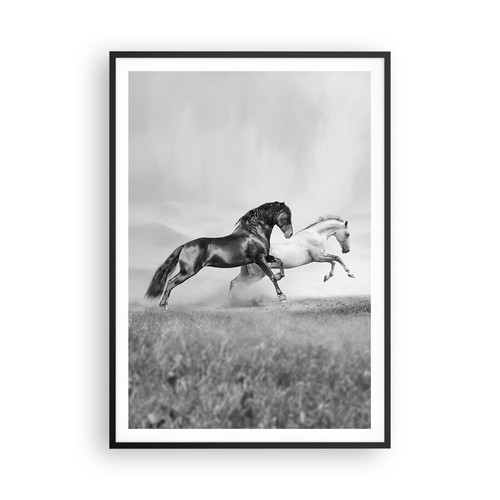 Affiche poster 70x100cm - affiche,