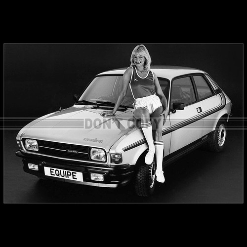 Photo 014972 austin allegro - photo,