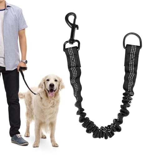 Laisse chien amortisseur - laisse,