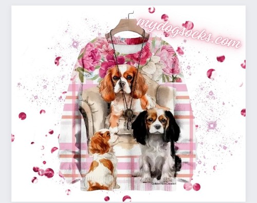 Cavalier king charles spaniel - cavalier,