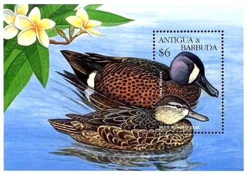 Timbre oiseaux canards antigua - timbre,