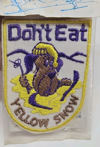 Vintage voyager ski patch - vintage,