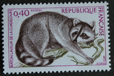 Timbre - FRANCE - Raton laveur