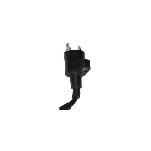 Bobine pour sym 125 - fiddle, ii