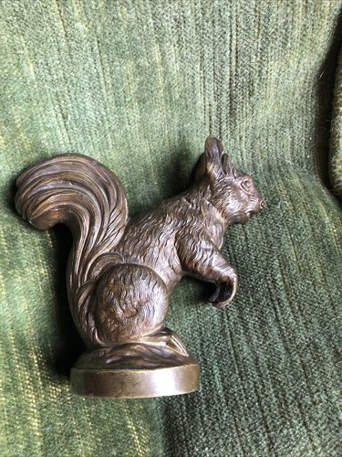 écureuil mascotte automobile - mascotte,