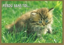 CARTE POSTALE ANCIENNE ANIMAUX