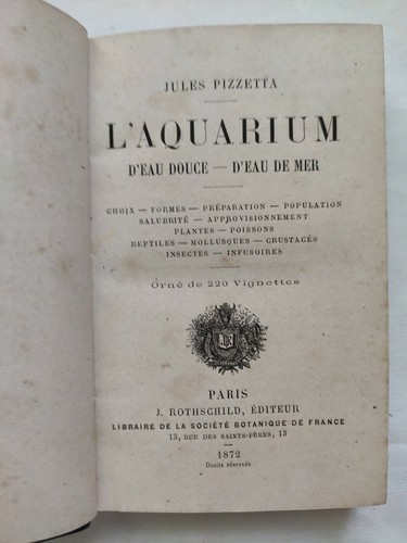 Pizzetta l aquarium - -, d'eau