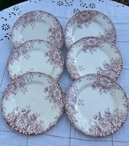 Assiettes dessert - assiettes, à