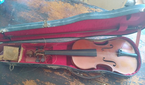 Violon nicolas bertholini - nicolas,