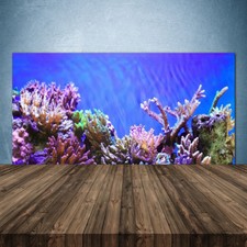 Crédence de cuisine en verre