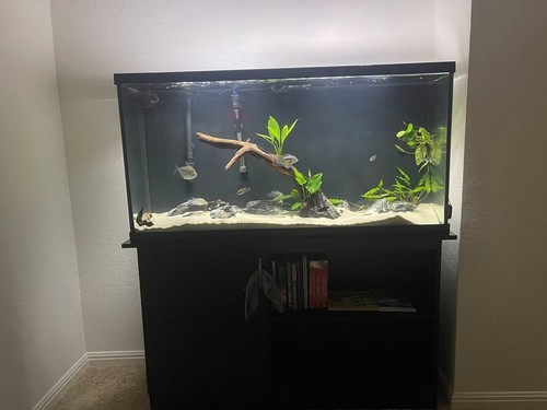 Complete 60 gallon - complete,