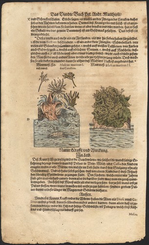 1590 planche gravure - 1590,