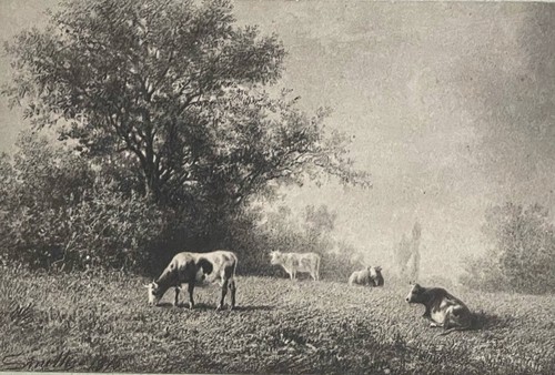 école barbizon pantotypie - barbizon,