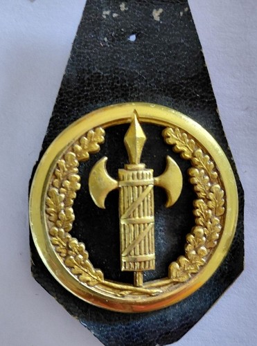 Insignne béret justice - insignne,