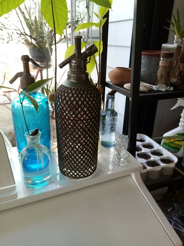 Tres grand siphon - cm,