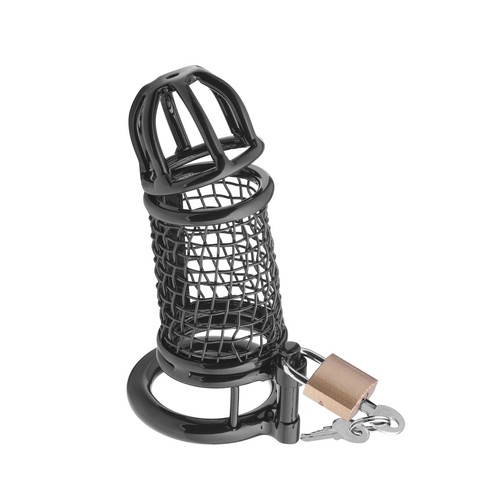 Cage chasteté pour - cage, pénis