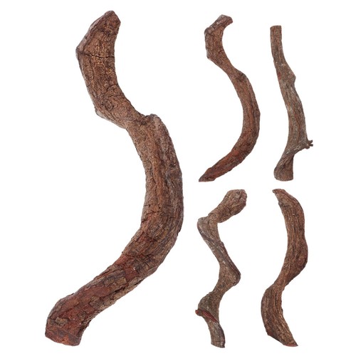 Pcs décoration branches - 5, de