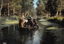 MARAIS POITEVIN - Venise Verte  - Cathédrale de Verdure - transport d'animaux