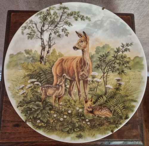 Grand plat limoges - plat,