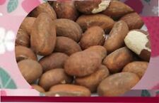 (  8  ) NOIX DE KOLA BIO