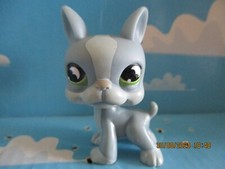 PETSHOP DOG BOSTON TERRIER