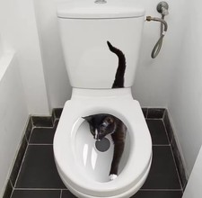 Autocollant de toilette Petit