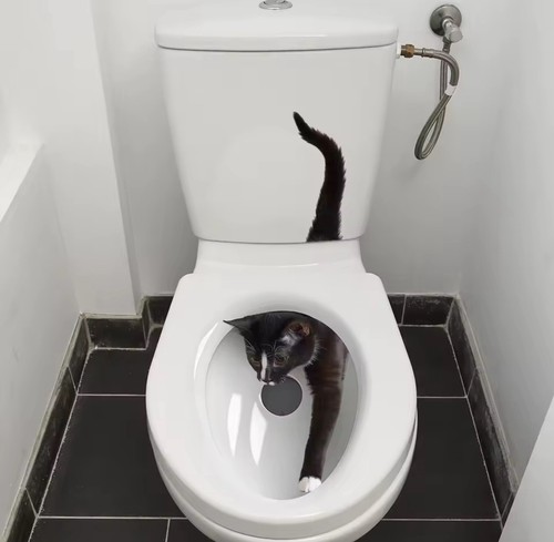 Autocollant toilette petit - toilette,