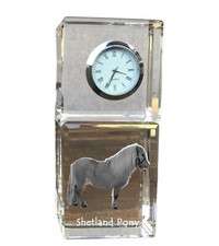 Poney Shetland horloge en