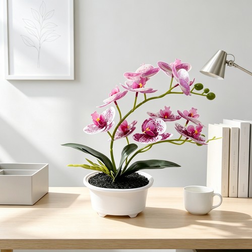 Plante orchidée - plante, d'orchidée